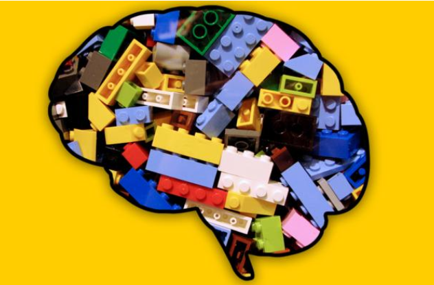 人脑优于人工智能的关键机制揭示，具有重组认知模块“拼积木”能力