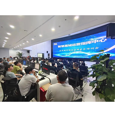 石家庄藁城城市大脑及配套设施建设项目