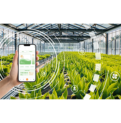 智中科技智慧农业用户场景应用建设