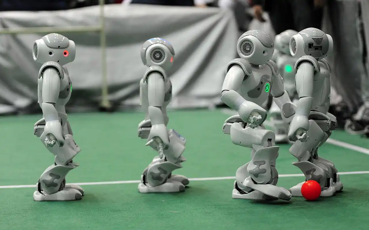 专家谈具身智能发展：机器人进入“感知-决策-行动”闭环时代