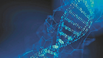 AI解码人类基因关键DNA“起始子”序列特征